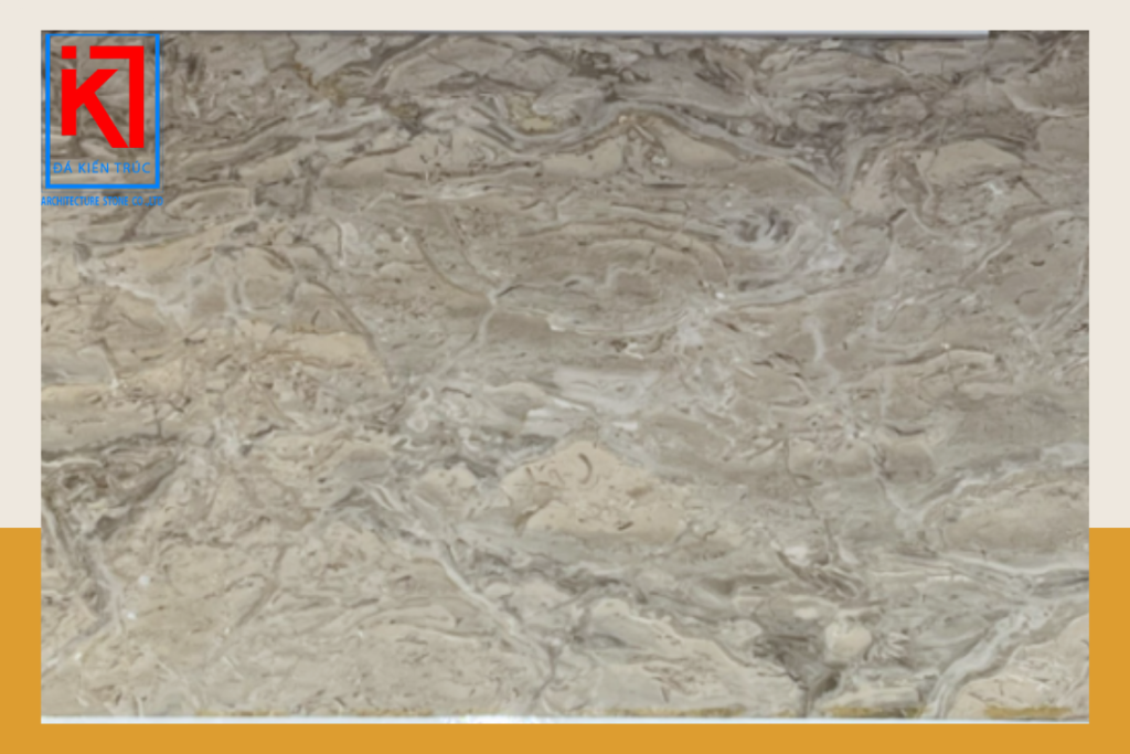 Con Sò Xám (Grey Fossil Marble)