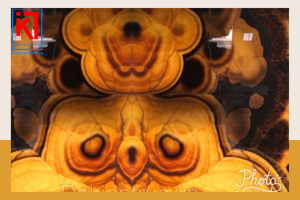 Tranh Onyx ĐX Con Cú (Royal Owl Onyx)