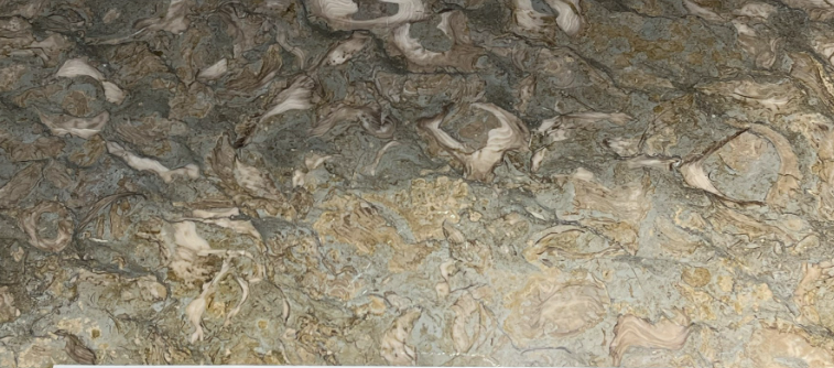 Đá Marble Con Sò Xanh (Fossil Marble)