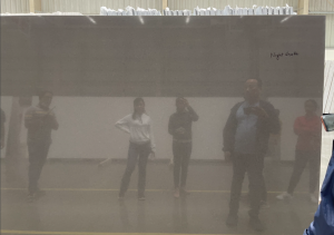 Calacatta Night Shade