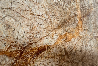 Tranh đá Quartzite vân rễ/Golden Vein Quartzite